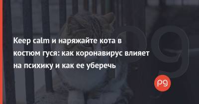 Keep calm и наряжайте кота в костюм гуся: как коронавирус влияет на психику и как ее уберечь - thepage.ua - Украина