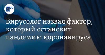 Александр Чепурнов - Вирусолог назвал фактор, который остановит пандемию коронавируса - ura.news