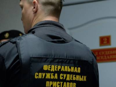 Судебные приставы рассказали, как узнают истинные доходы должников - bloknot.ru