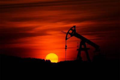 Стоимость нефти Brent впервые с февраля 2020 поднялась выше $55 - rtvi.com - Россия - Москва - Казахстан