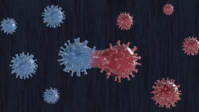 Врач: вот в чем разница между обычным коронавирусом и мутацией - vesty.co.il