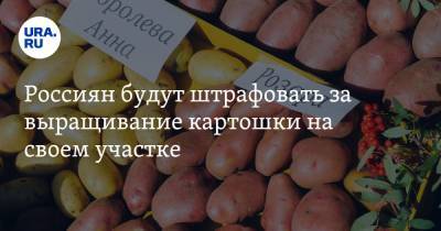 Егор Редин - Россиян будут штрафовать за выращивание картошки на своем участке - ura.news