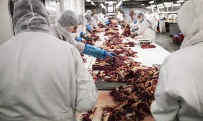 «Вся система прогнила»: в Европе обеспокоены состоянием мясной промышленности - enovosty.com