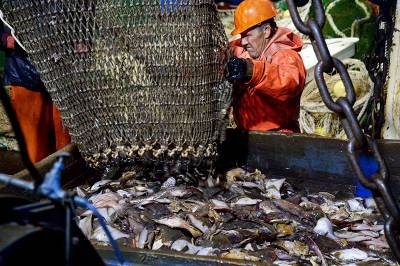 Экономисты назвали отрасли с самыми быстрорастущими зарплатами - tvc.ru