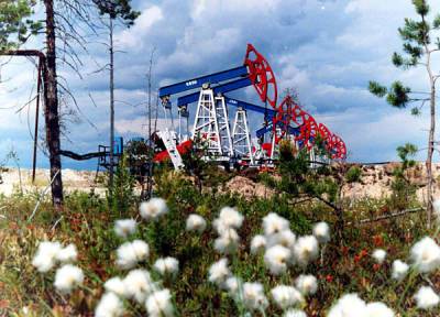 Минфин допустил "катастрофическое" снижение спроса на нефть - nakanune.ru