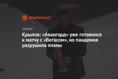 Александр Крылов - Крылов: «Авангард» уже готовился к матчу с «Вегасом», но пандемия разрушила планы - championat.com