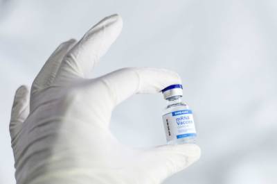 Александр Агафонов - "Вектор" намерен создать вакцину от высокопатогенного штамма птичьего гриппа - actualnews.org