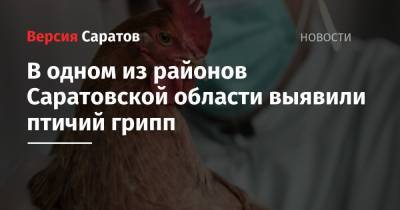 В одном из районов Саратовской области выявили птичий грипп - nversia.ru - Саратовская обл. - район Федоровский