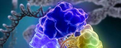 Американские ученые обнаружили белок, блокирующий ВИЧ, Эболу и другие смертельные вирусы - runews24.ru