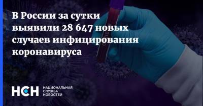 В России за сутки выявили 28 647 новых случаев инфицирования коронавируса - nsn.fm - Россия