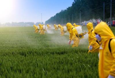 Распространённые в мире пестициды способствует ожирению и влияют на обмен веществ - argumenti.ru - Россия - Канада