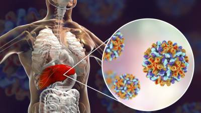 Вирус гепатита возник более 10 тысяч лет назад - mir24.tv