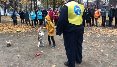 Полиция разогнала благотворительную акцию «Собака-обнимака» в Петербурге - abnews.ru - Россия - Санкт-Петербург