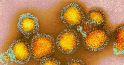 Пандемия в квадрате. Ученые ожидают сильную эпидемию гриппа зимой на фоне COVID-19 - focus.ua - Украина