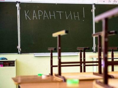 В школах Миасса на карантин закрыты 11 классов - u24.ru - городское поселение Миасский