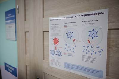 В Челябинской области прививки против COVID-19 поставили 83% педагогов - znak.com - Челябинская обл.