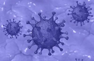 В России выявили свыше 28 тысяч новых случаев коронавируса - bash.news - Россия