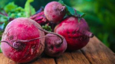 Токсиколог Кутушов перечислил заболевания, с которыми нельзя есть свеклу - inforeactor.ru