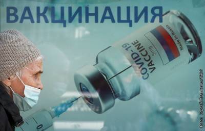 Михаил Мишустин - Почти треть населения России полностью вакцинировалась от COVID-19 - interfax.ru - Россия - Москва