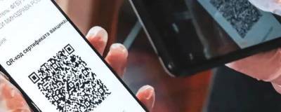 Новосибирцы после новости о введении QR-кодов поделились мнениями «за» и «против» - runews24.ru - Новосибирская обл.