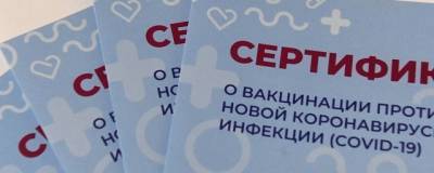 При посещении общественных мест Хакасии нужно предъявить «ковидный» документ и паспорт - runews24.ru - республика Хакасия