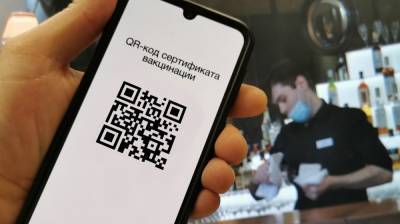 Воронежцам объяснили, как получить антиковидный QR-код при сбоях на Госуслугах - vestivrn.ru - Воронежская обл.