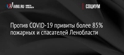 Против COVID-19 привиты более 85% пожарных и спасателей Ленобласти - ivbg.ru - Ленобласть обл. - Украина