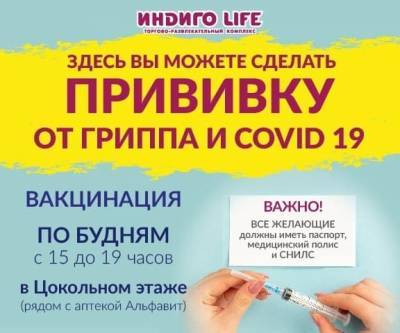 Бесплатная вакцинация от гриппа и коронавируса проводится в ТРК «Индиго Life» - vgoroden.ru - Нижний Новгород
