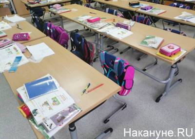 Анастасия Ракова - В 10 московских школах начнут бесплатно тестировать учеников на COVID-19 - nakanune.ru - Москва - Англия - Австрия