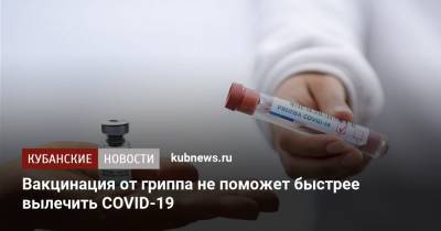 Виктор Зуев - Вакцинация от гриппа не поможет быстрее вылечить COVID-19 - kubnews.ru