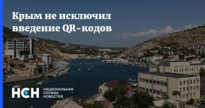 Елена Романовская - Крым не исключил введение QR-кодов - nsn.fm - республика Крым