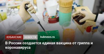 В России создается единая вакцина от гриппа и коронавируса - kubnews.ru - Россия