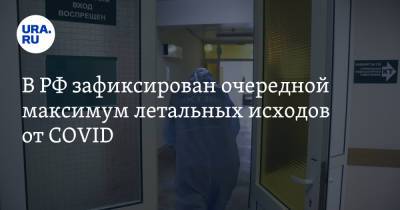 В РФ зафиксирован очередной максимум летальных исходов от COVID - ura.news - Россия - Санкт-Петербург - Москва