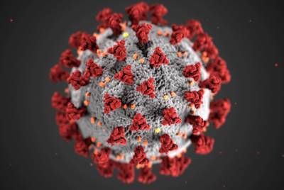 Клинические исследования назальной вакцины от коронавируса разрешил минздрав - abnews.ru