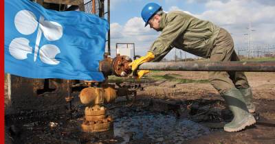 ОПЕК ухудшила прогноз по нефтяному рынку на 2021 год - profile.ru
