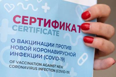 Россия подаст заявку на присоединение к системе COVID-сертификатов Европы - lenta.ru - Россия - Евросоюз