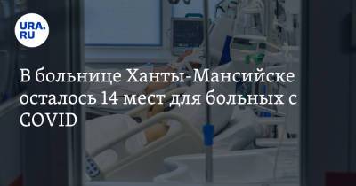 В больнице Ханты-Мансийске осталось 14 мест для больных с COVID - ura.news - Сургут - округ Югра - Ханты-Мансийск