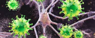 Антитела у переболевших ковидом могут сохраняться в организме до 15 месяцев - runews24.ru - Италия - Швеция