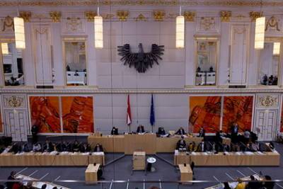 Депутат упала в обморок во время выступления в парламенте - lenta.ru - Австрия