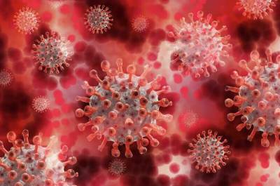 Ученые подсчитали длительность иммунитета у перенесших COVID-19 - pnp.ru - Италия - Китай - Германия - Швейцария - Швеция