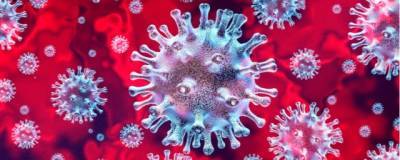 Найдено мощное антитело, защищающее от всех штаммов коронавируса - runews24.ru - Швейцария
