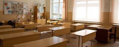 Андрей Кочеров - Курганские власти рекомендовали школам провести осенние каникулы с 25 октября по 6 ноября - runews24.ru - Курганская обл.