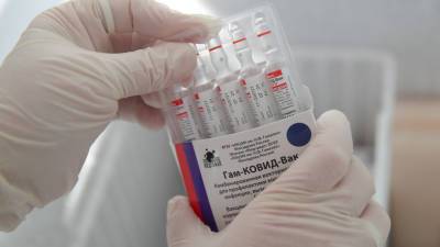 В Армению доставили 100 тысяч доз вакцины «Спутник V» - mir24.tv - Москва - Армения
