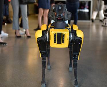 Курьез: прохожие засняли реакцию настоящего пса на роботизированных собак Boston Dynamics. ФОТО - enovosty.com - Boston