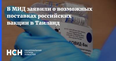 Николай Ноздрев - В МИД заявили о возможных поставках российских вакцин в Таиланд - nsn.fm - Россия - Таиланд - Бангкок