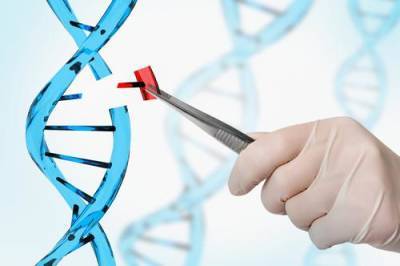 Учёные создали «геномные-ножницы» для удаления вирусов из ДНК человека - argumenti.ru