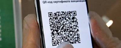 Во Владимирской области введение QR-кодов перенесли на ноябрь 2021 года - runews24.ru - Владимирская обл.