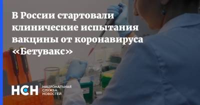 В России стартовали клинические испытания вакцины от коронавируса «Бетувакс» - nsn.fm - Россия