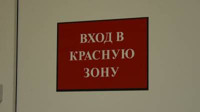 Оперштаб призвал частные клиники отправить врачей в «красные зоны» из-за всплеска COVID - vestivrn.ru