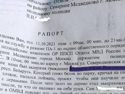 В Москве полиция задержала Лешего, от которого белки хотели родить Кентавра, чтобы спасти мир - rosbalt.ru - Москва